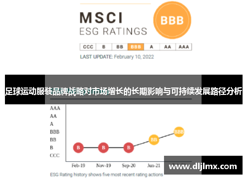 足球运动服装品牌战略对市场增长的长期影响与可持续发展路径分析