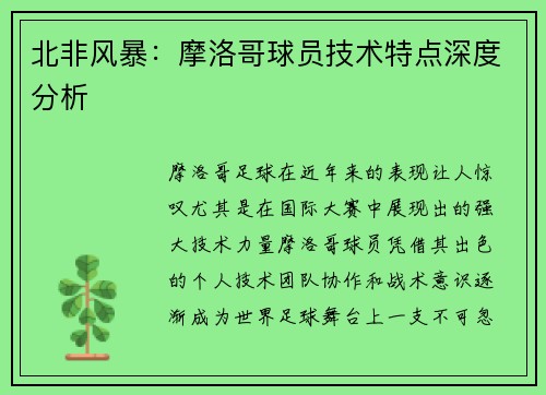 北非风暴：摩洛哥球员技术特点深度分析